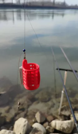 Cage Feeder