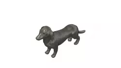 Dackel / Teckel / Dachshund