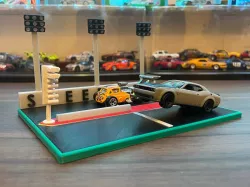 Dual 1/64 Drag Strip Display 