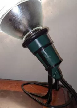 Flood Light Lamp