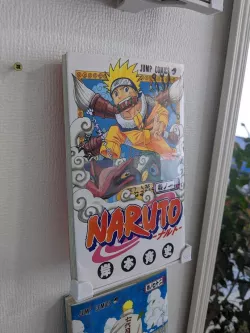 Manga or Comic Shelf