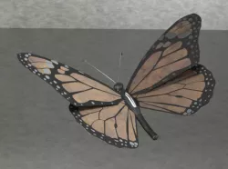 Monarch butterfly