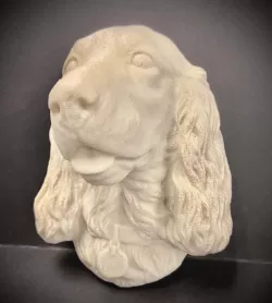 Spaniel