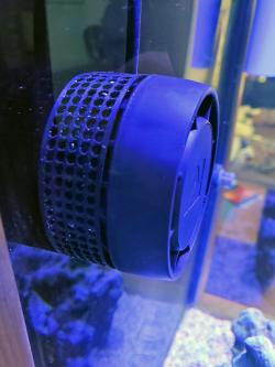 3D Printed AI Nero 7 Low-Profile Anemone Guard PETG Aqua Illumination Nero7