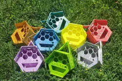 BEEMO V2 - Biodegradable Bee Motel + Feeder
