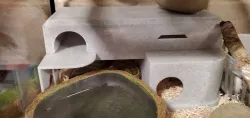 Deluxe Snake Hide