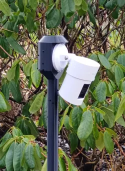 Dlink camera pole