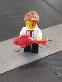 fish for brick people