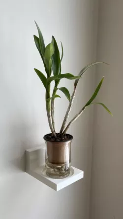 floating shelf