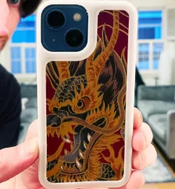 iPhone 13 Mini Case - swappable plate