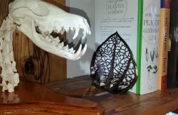 Leaf Bookend