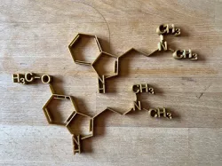 N,N-Dimethyltryptamine and 5-MeO-DMT