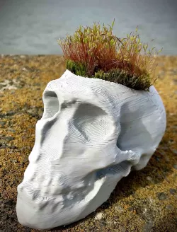 "Neanderplanthal" A Planter of Neanderthal Skull