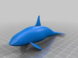 Orca Whale