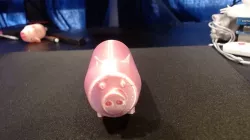 Pig