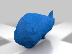 Rabbit 3d scans