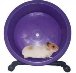 Roda hamister