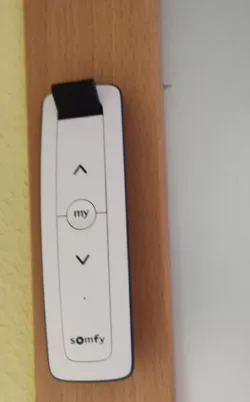 Somfy Situo 5 io  Wall Mount