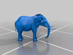 African elephant