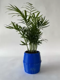 Barrel Plant Pot