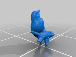 bird