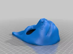cat mask