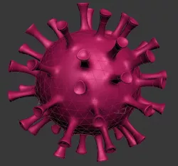 Corona Virus