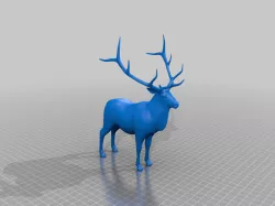Deer