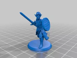 Drow Paladin