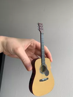 Guitar