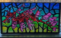 leafy sea dragon (resin stainglass)