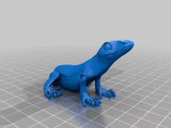 lizard