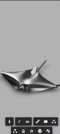 Manta ray