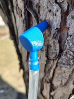 Maple sap spile for 5/16 hole and tubing Tee