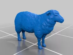 OO Sheep