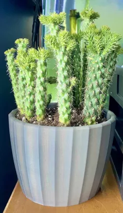 Pot for Smaller Plants