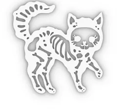 Skeleton Kitty