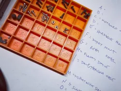 Sorting Tray