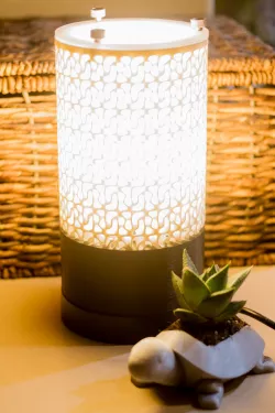 Top and Bottom for Fischer-Koch C(Y) Lampshade