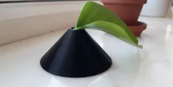 Vase for plant cutting