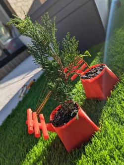 Bonsai planter with support bars