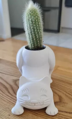 Cat Cactus Pot