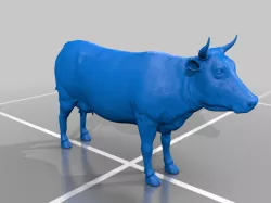 Cow