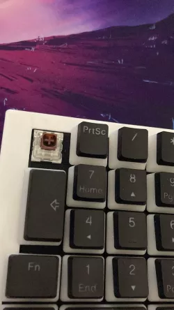 Custom Mechanical Numpad + Caps