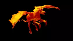 Dragonhorse D&D 