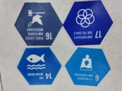 EDITING SDGS LOGO DUAL COLOR HEXAGONAL BRICK