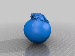 Onion