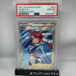 PSA Card Slab Display Stand