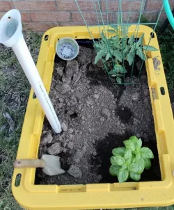 Self watering Raised Bed