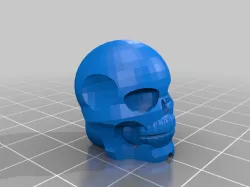 Skull